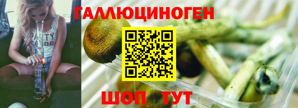 Галлюциногенные грибы мицелий Пыть-Ях